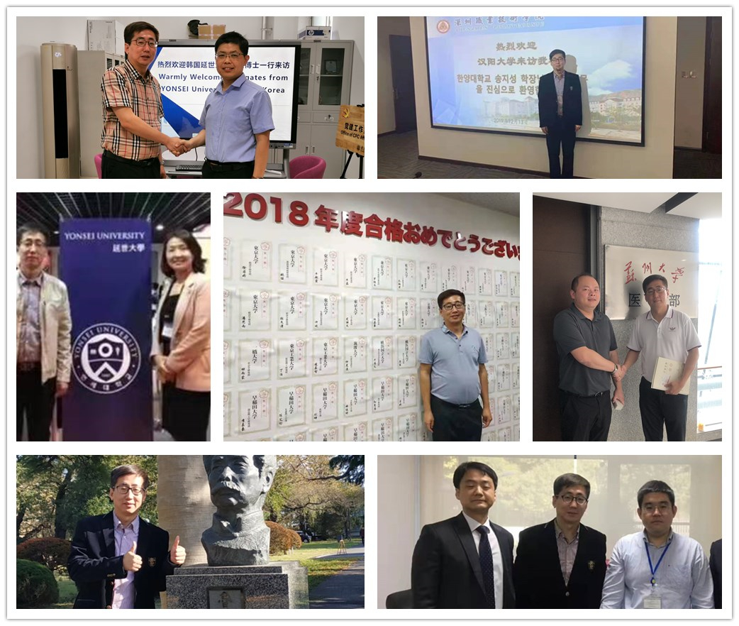 乔梁|乔梁简介|乔梁介绍|乔梁资料_乔梁百科